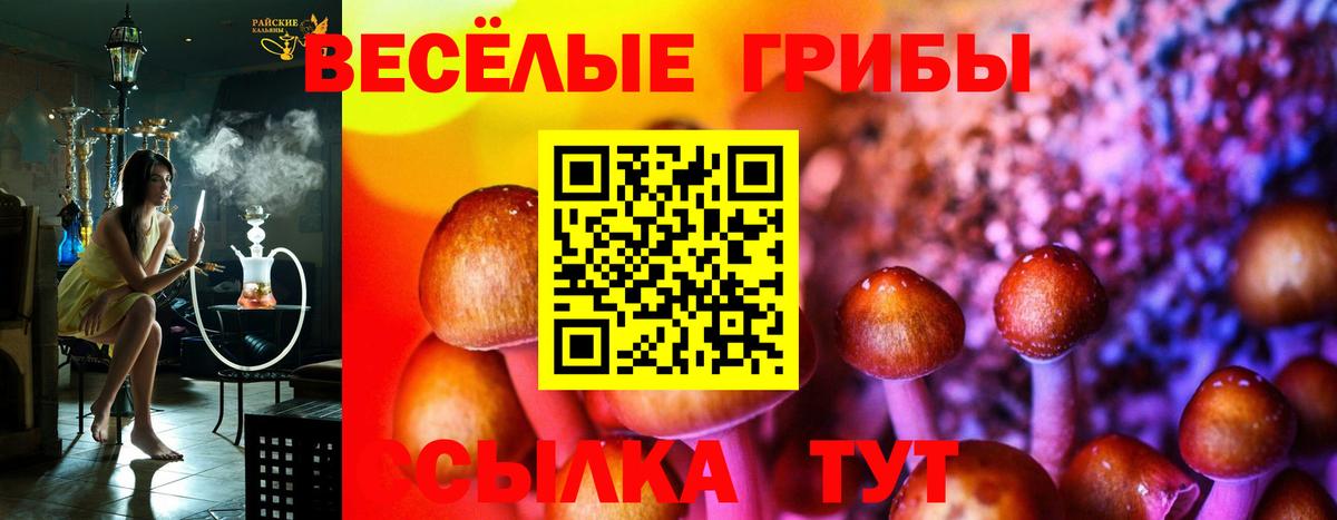 Галлюциногенные грибы Cubensis Нижнеудинск